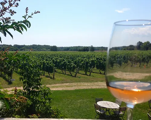 How to Design Your North Fork Wine Tour